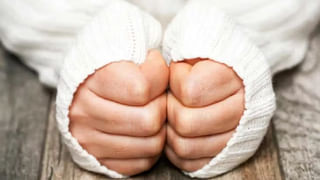 ఇది పండు కాదు.. పోషకాల పవర్ హౌస్.. డైలీ ఓ గ్లాసు జ్యూస్ తాగితే ఇక తిరుగుండదు..