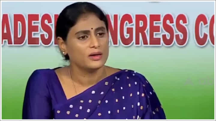 YS Sharmila: హీరో ప్రభాస్ ఎవరో నాకు తెలియదు.. ఆయనతో ఎలాంటి సంబంధం లేదు: షర్మిల YS Sharmila: హీరో ప్రభాస్ ఎవరో నాకు తెలియదు.. ఆయనతో ఎలాంటి సంబంధం లేదు: షర్మిల