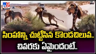 Viral: అనాథలా పెరిగిన కోటీశ్వరుడు!  సీన్ కట్ చేస్తే.. 26 ఏళ్లు తరువాత.. వీడియో.
