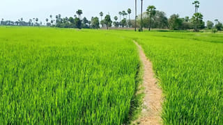 పంజాబ్ పోలీసు పోస్ట్‌పై బాంబులు విసిరిన ముగ్గురు ఖలిస్తానీ ఉగ్రవాదులు .. పిలిభిత్‌లో ఎన్‌కౌంటర్ లో గాయపడిన ఉగ్రవాదులు