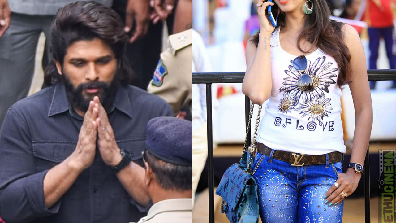 Allu Arjun: ‘ చీప్ పబ్లిసిటీ.. అల్లు అర్జున్‌ను టార్గెట్ చేయడం మానేయండి’.. టాలీవుడ్ హీరోయిన్ సంచలన ట్వీట్