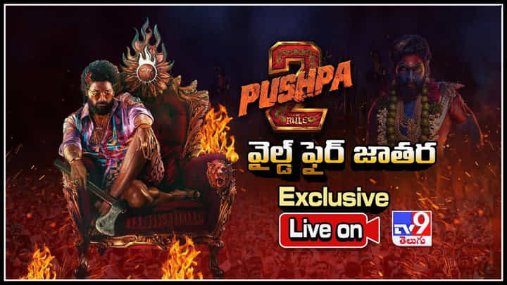 Pushpa 2 Pre Release Event Live: హైదరాబాద్లో అల్లు ఆర్మీ ఉత్సాహం.! పుష్ప వైల్డ్ ఫైర్ జాతర మరింత వైల్డ్గా.. Pushpa 2 Pre Release Event Live: హైదరాబాద్లో అల్లు ఆర్మీ ఉత్సాహం.! పుష్ప వైల్డ్ ఫైర్ జాతర మరింత వైల్డ్గా..