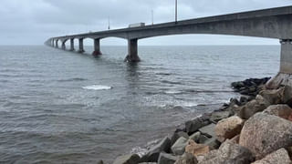 Telangana: పెద్దాపూర్‌ గురుకులంలో వరుస పాముకాట్లు.. 2 రోజుల్లో ఇద్దరు విద్యార్ధులు ఆస్పత్రిపాలు