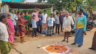 AP News: ఒక్కసారిగా పతనమైన టమాటా ధర.. కేజీ ఎంతో తెల్సా..?