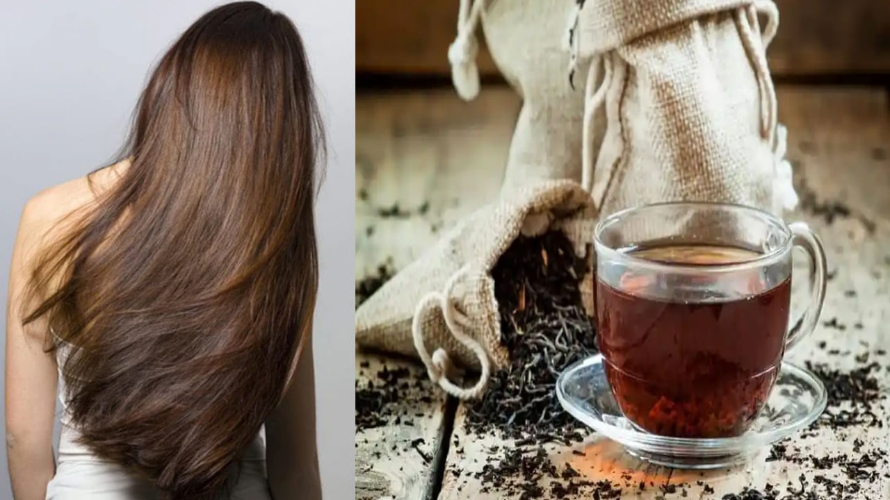 Black Tea For Hair: తెల్ల జుట్టు నల్లగా మారేందుకు అద్భుతమైన చిట్కా..10రోజుల్లోనే పట్టులాంటి కురులు..