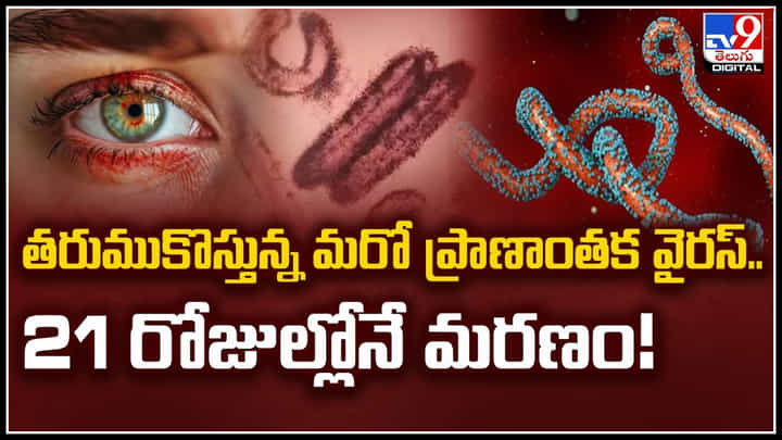 Bleeding Eye Virus: తరుముకొస్తున్న మరో ప్రాణాంతక వైరస్.. 21 రోజుల్లోనే మరణం.! Bleeding Eye Virus: తరుముకొస్తున్న మరో ప్రాణాంతక వైరస్.. 21 రోజుల్లోనే మరణం.!