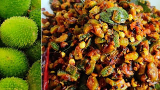 Cucumber Seeds: కీరదోసకాయ మాత్రమే కాదు.. దాని గింజలతో బోలేడు లాభాలు..!