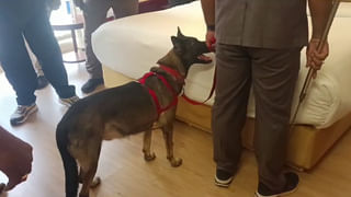 AP News: రాజ్యసభ అభ్యర్ధులను ప్రకటించిన బీజేపీ.. ఏపీ నుంచి ఆర్.కృష్ణయ్య