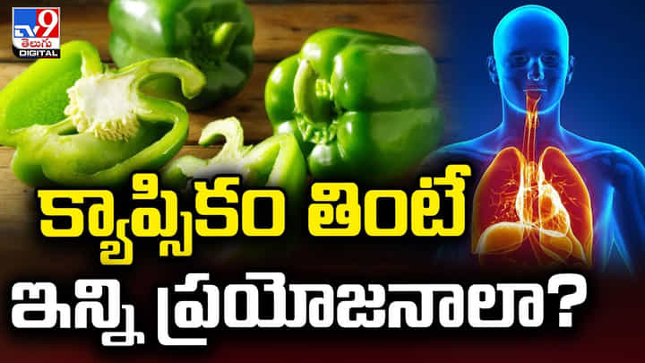 Capsicum: క్యాప్సికం తింటే ఇన్ని ప్రయోజనాలా ?? Capsicum: క్యాప్సికం తింటే ఇన్ని ప్రయోజనాలా ??