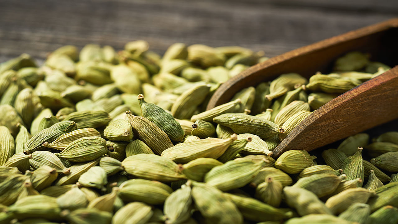 Cardamom