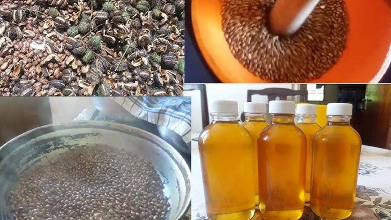 Castor oil: ఏంటీ..! బాబోయ్.. ఆముదంతో ఇన్ని ప్రయోజనాలా ఉన్నాయా..?