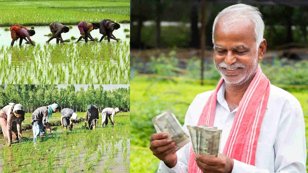 CGS for Farmers: ఇకపై రైతులకు సులువుగా రుణాలు.. రూ.1000 కోట్లతో క్రెడిట్ గ్యారెంటీ స్కీమ్..