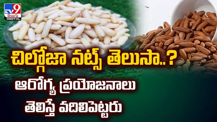 చిల్గోజా నట్స్ తెలుసా ?? ఆరోగ్య ప్రయోజనాలు తెలిస్తే వదిలిపెట్టరు చిల్గోజా నట్స్ తెలుసా ?? ఆరోగ్య ప్రయోజనాలు తెలిస్తే వదిలిపెట్టరు