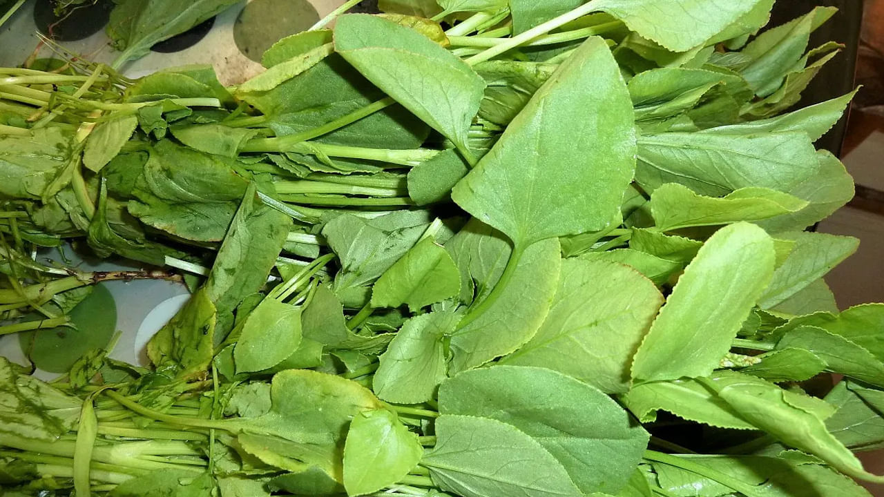 చుక్క కూరతో కంటిచూపు మెరుగుప‌డుతుంది. రేచీక‌టి స‌మ‌స్య‌తో బాధ‌ప‌డే వారు చుక్క‌కూర‌ను తిన‌డం వ‌ల్ల క్ర‌మంగా స‌మ‌స్య త‌గ్గు ముఖం ప‌ట్టే అవ‌కాశాలు కూడా ఉంటాయ‌ని నిపుణులు చెబుతున్నారు. చుక్క కూర‌లో అధిక మోతాదులో ఉండే పీచు ప‌దార్థాలు తిన్న ఆహారం త్వ‌ర‌గా జీర్ణ‌మ‌య్యేలా చేయ‌డంతోపాటుగా, మ‌ల‌బ‌ద్ద‌కం స‌మ‌స్య ను తగ్గించటంలో సహాయపడుతుంది.