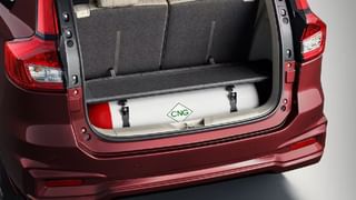 చలికాలంలో గుండెను ఆరోగ్యంగా ఉంచే ఈ పండు.. ఆరోగ్య రహస్యాలు తెలిస్తే అస్సలు వదిలిపెట్టరు..!