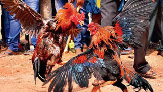 Ongole: ఓరే చిరంజీవా.. దుస్తులు విప్పితే విప్పావ్.. 3 తులాల బంగారం చైన్‌ కూడా..