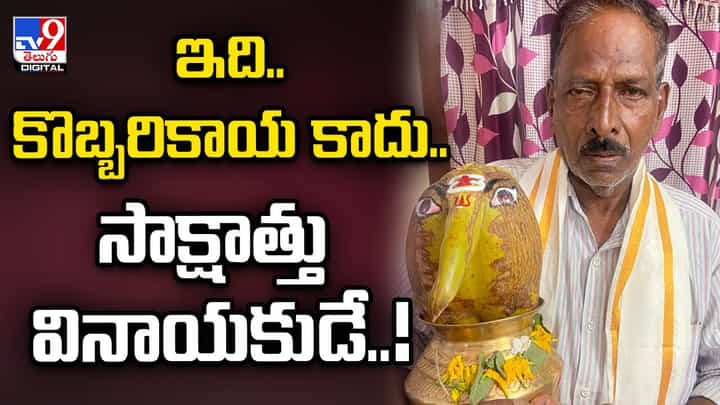ఇది.. కొబ్బరికాయ కాదు.. సాక్షాత్తు వినాయకుడే !! ఇది.. కొబ్బరికాయ కాదు.. సాక్షాత్తు వినాయకుడే !!