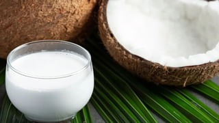 Amla Curry: ఉసిరి కాయలతో టేస్టీ కర్రీ.. రుచి, ఆరోగ్యం కూడా..