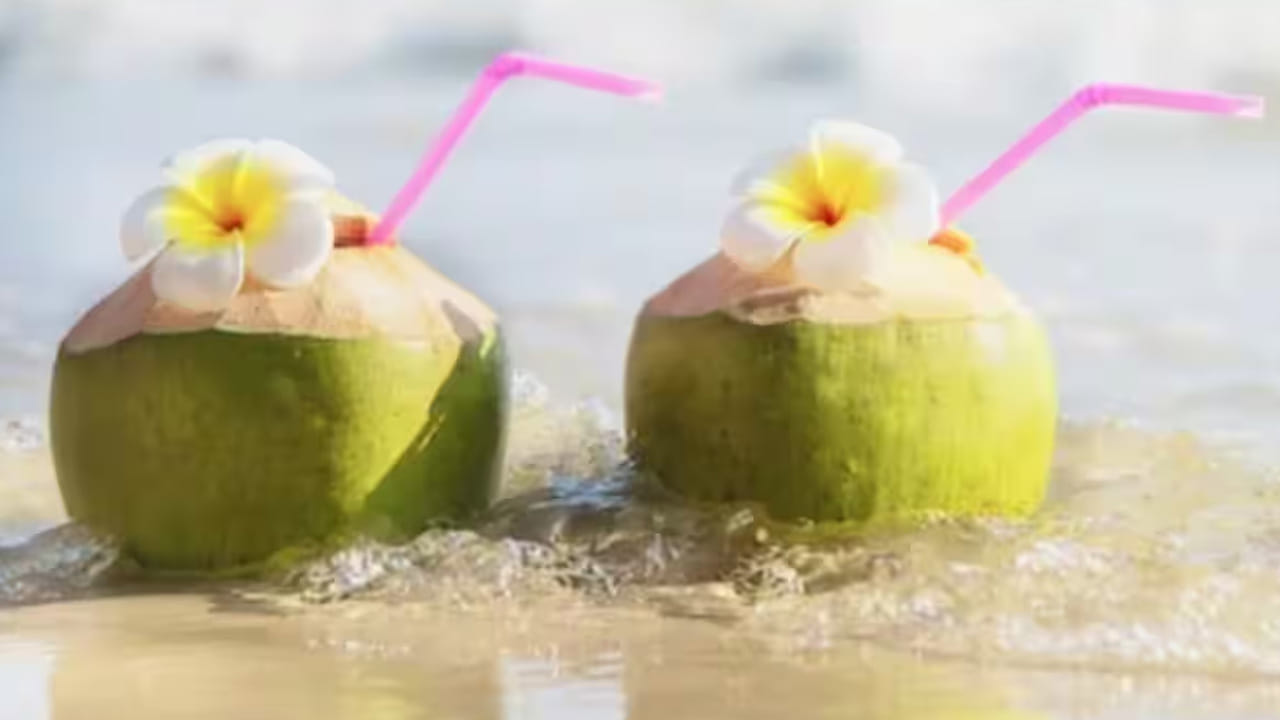 ఊబకాయం అనేది వ్యాధి కాదు.. కానీ, అది అనేక వ్యాధులకు కారణం అవుతుంది. కాబట్టి, బరువు తగ్గడానికి, బొడ్డు చుట్టూ పేరుకుపోయిన కొవ్వును తగ్గించడానికి, కొబ్బరి నీళ్లను మీ అలవాటులో భాగం చేసుకోండి. ఇలా చేయడం వల్ల మీ శరీరం కొన్ని నెలల్లోనే తిరిగి మీ పూర్వపు ఆకారంలోకి వస్తుంది. 