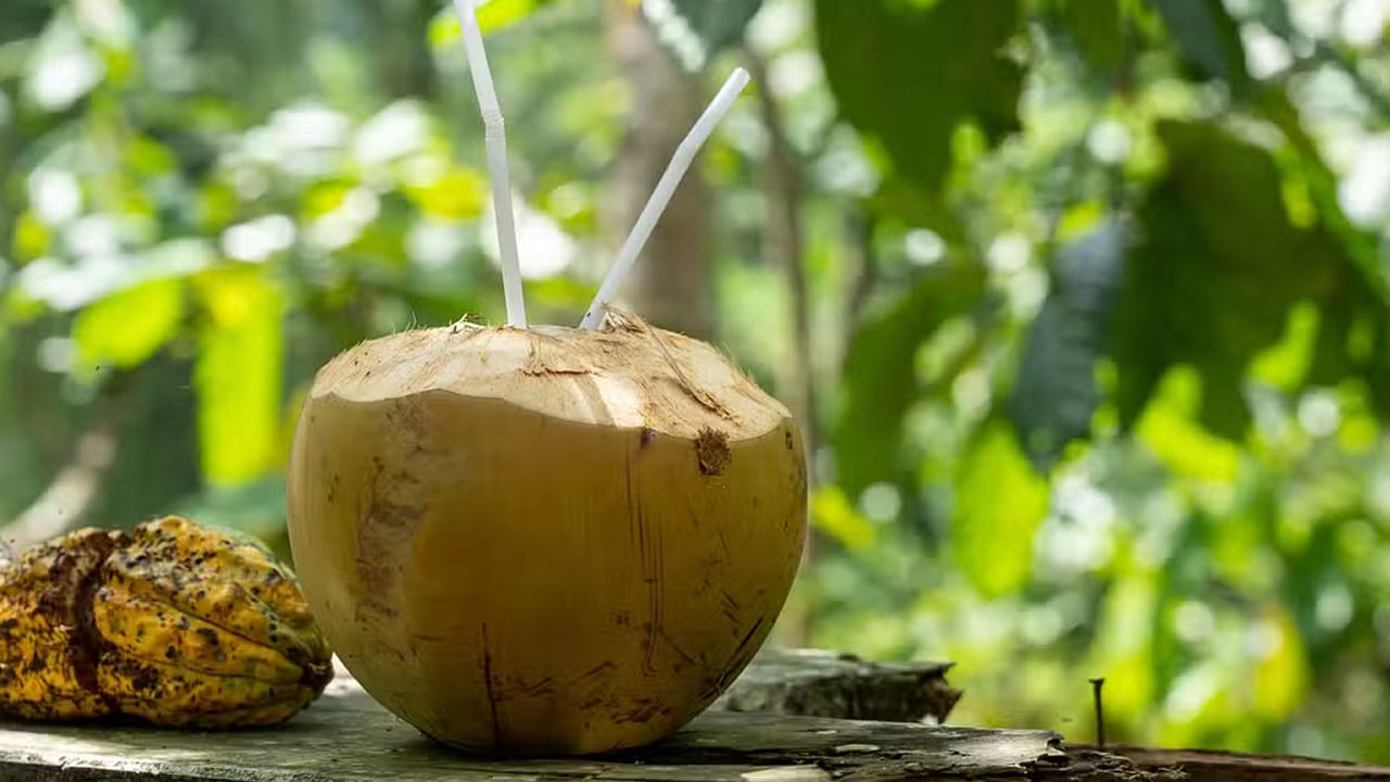 Coconut Water: చలికాలంలో కూడా కొబ్బరి నీళ్లు రోజూ తాగడం వలన కలిగే ప్రయోజనాలు ఎన్నో తెలుసా