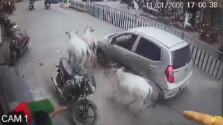 Viral Video: రోడ్డుపై 8 పల్టీలు కొట్టిన కారు.. తాపీగా కారు దిగి ‘టీ’ అడిగారు సామీ..! వీడియో