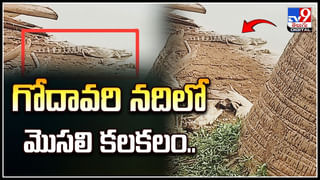 Viral: స్నానానికి వెళ్లి బాత్రూమ్‌లో నవవధువు మృతి.. ఏం జరిగిందంటే.!