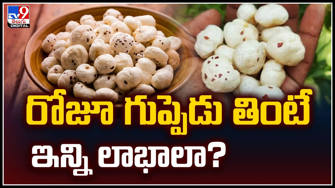 Makhana food: రోజూ గుప్పెడు తింటే ఇన్ని లాభాలా.? తెలిస్తే అసలు వదిలిపెట్టరు..