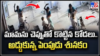 Hyderabad: తెల్లగా ఉంది కదాని.. కొబ్బరిపొడి అనుకుంటే పొరపాటే.! వీడియో వైరల్..