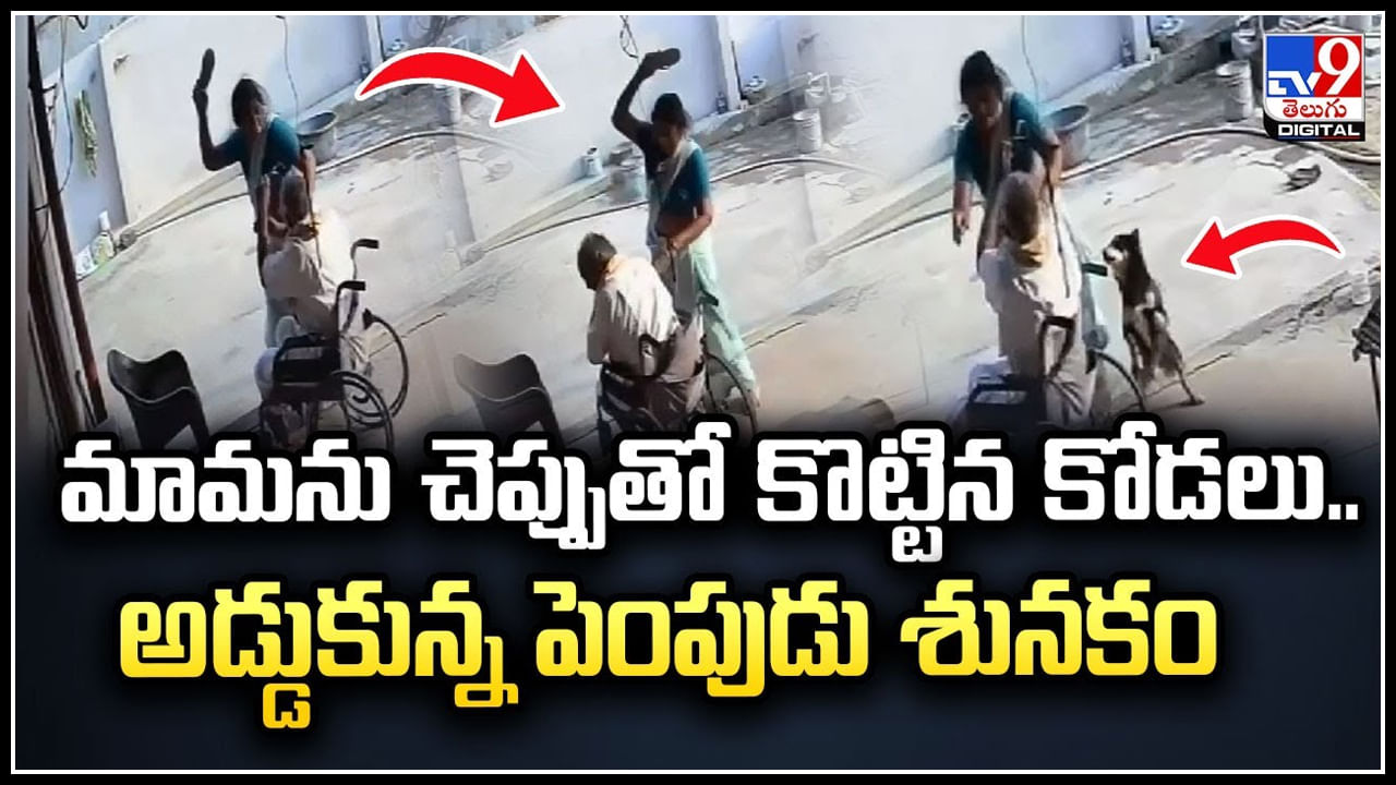 Viral: మామను చెప్పుతో కొట్టిన కోడలు.! అడ్డుకున్న పెంపుడు శునకం..