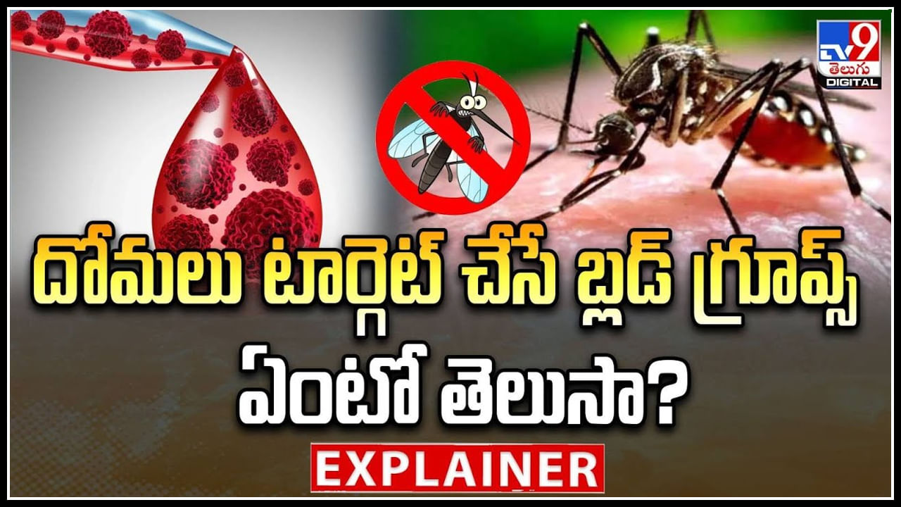 Mosquitoes: దోమలు టార్గెట్ చేసే బ్లడ్ గ్రూప్స్  ఏంటో తెలుసా.?