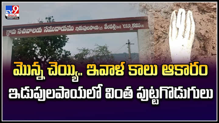 Mushroom: మొన్న చెయ్యి.. ఇవాళ కాలు.. ఇడుపులపాయలో వింత పుట్టగొడుగులు.! Mushroom: మొన్న చెయ్యి.. ఇవాళ కాలు.. ఇడుపులపాయలో వింత పుట్టగొడుగులు.!