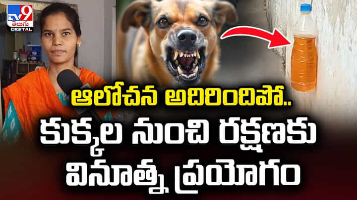 ఆలోచన అదిరిందిపో.. కుక్కల నుంచి రక్షణకు వినూత్న ప్రయోగం !! ఆలోచన అదిరిందిపో.. కుక్కల నుంచి రక్షణకు వినూత్న ప్రయోగం !!
