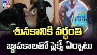 అలా వస్తారు.. ఇలా తెంపుకుపోతారు.. మహిళల్లో భయం.. భయం