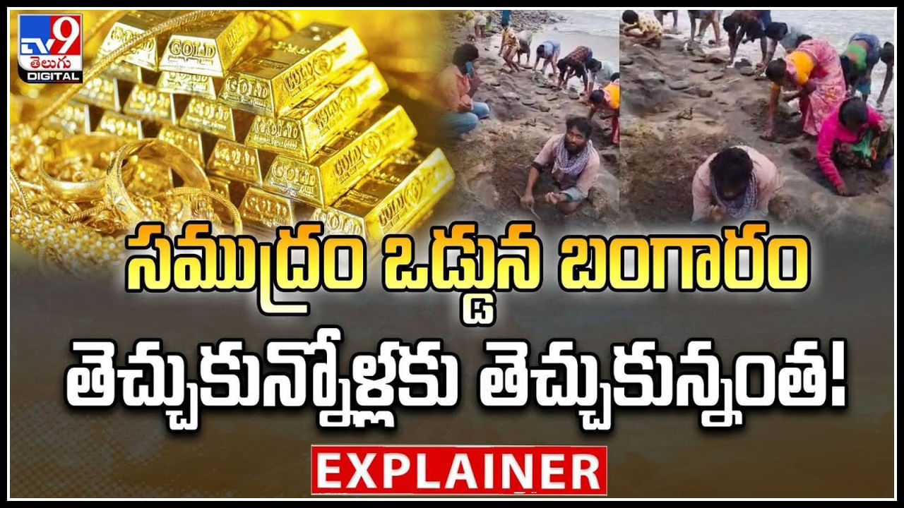 Viral: సముద్రం ఒడ్డున బంగారం తెచ్చుకున్నోళ్లకు తెచ్చుకున్నంత.! వీడియో..