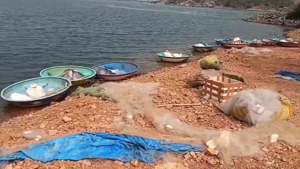 Telangana: దండిగా చేపల పడతాయని రాత్రే వల వేసి వెళ్లారు.. ఉదయాన్నే వచ్చి చూడగా