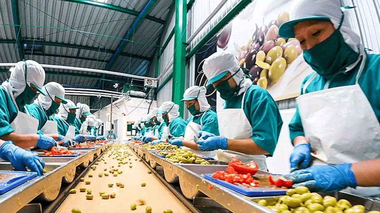 Food Processing Industry: 2.89 లక్షల మందికి ఉపాధి కల్పించిన ఫుడ్ ప్రాసెసింగ్ పరిశ్రమ.. కేంద్ర ప్రభుత్వం వెల్లడి