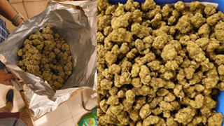 లక్షల్లో మొక్కలు నాటి.. పద్మశ్రీ అవార్డు అందుకున్న పెద్దావిడ ఇక లేరు..