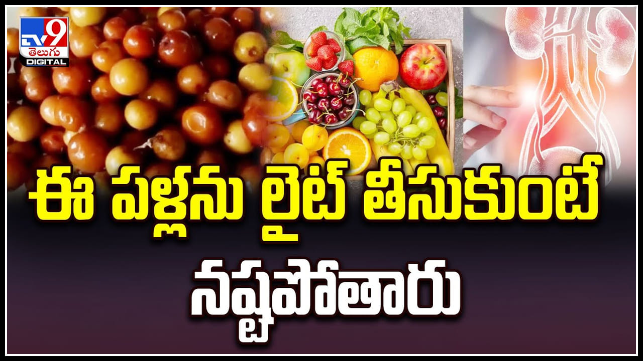 Regi pallu: ఈ పళ్లను లైట్ తీసుకుంటే నష్టపోతారు.. కోట్లు ఖర్చుపెట్టినా దక్కని పోషకాలు.. Regi pallu: ఈ పళ్లను లైట్ తీసుకుంటే నష్టపోతారు.. కోట్లు ఖర్చుపెట్టినా దక్కని పోషకాలు..
