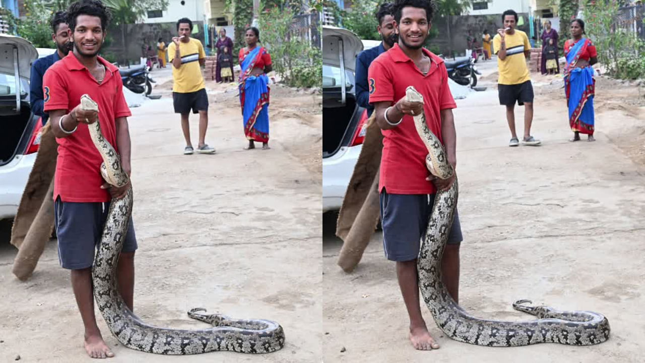 Python: వామ్మో.. ఇది ఇంత ఉంది ఏంట్రా.. పరుగులు తీసిన జనం