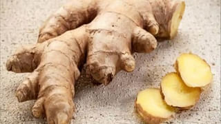 Aravana Payasam: అయ్యప్ప ప్రసాదం అంటే ఇష్టమా.. ఇంట్లోనే అరవణ పాయసం తయారీ చేసుకోండి ఇలా.. రెసిపీ మీ కోసం..