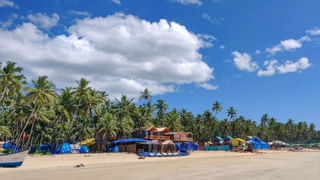 Winter Food: చలికాలంలో శరీరం వెచ్చగా ఉండాలంటే.. తినే ఆహారంలో వీటిని చేర్చుకోండి..