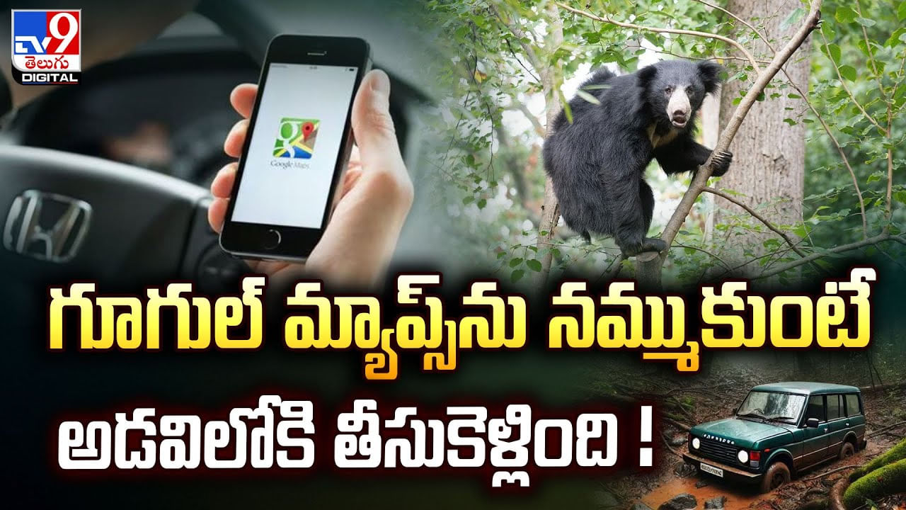 గూగుల్ మ్యాప్స్‌ను నమ్ముకుంటే క్రూరమృగాల తీసుకెళ్లింది !!