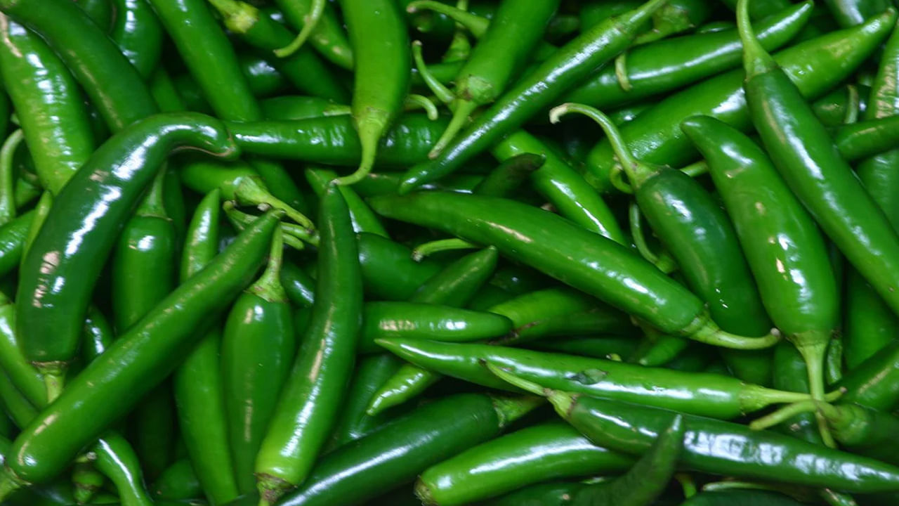 Green Chilli: పచ్చి మిర్చి తినడం వల్ల ఇన్ని లాభాలున్నాయా..? తెలిస్తే అవాక్కే..