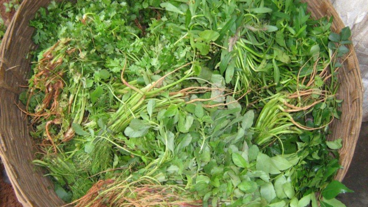 సాధారణంగా ఆకు కూరల్ని కట్ చేసి కడుగుతారు. కానీ ముందు కడిగేసి కట్ చేయడం వల్ల పోషకాలు ఉంటాయి. ఒక వేళ ఇలా చేయడం ఇబ్బంది అవుతుంది అనుకుంటే.. కట్ చేశాక కడిగి, కాసేపు వేడి నీళ్లు పోసి ఉంచండి. ఇలా చేయడం వల్ల పోషకాలు అందుతాయి.
