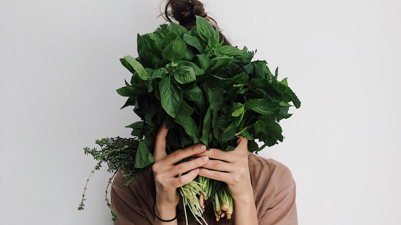 అదే విధంగా ముందుగానే ఆకు కూరల్ని స్టీమ్ చేసి వండటం వల్ల ఎన్నో లాభాలు ఉంటాయి. మరీ ఎక్కువ సేపు ఉడికించినా కూడా పోషకాలు అనేది అందవు. కాబట్టి ఎక్కువ సేపు వేయించకుండా వండాలి.
