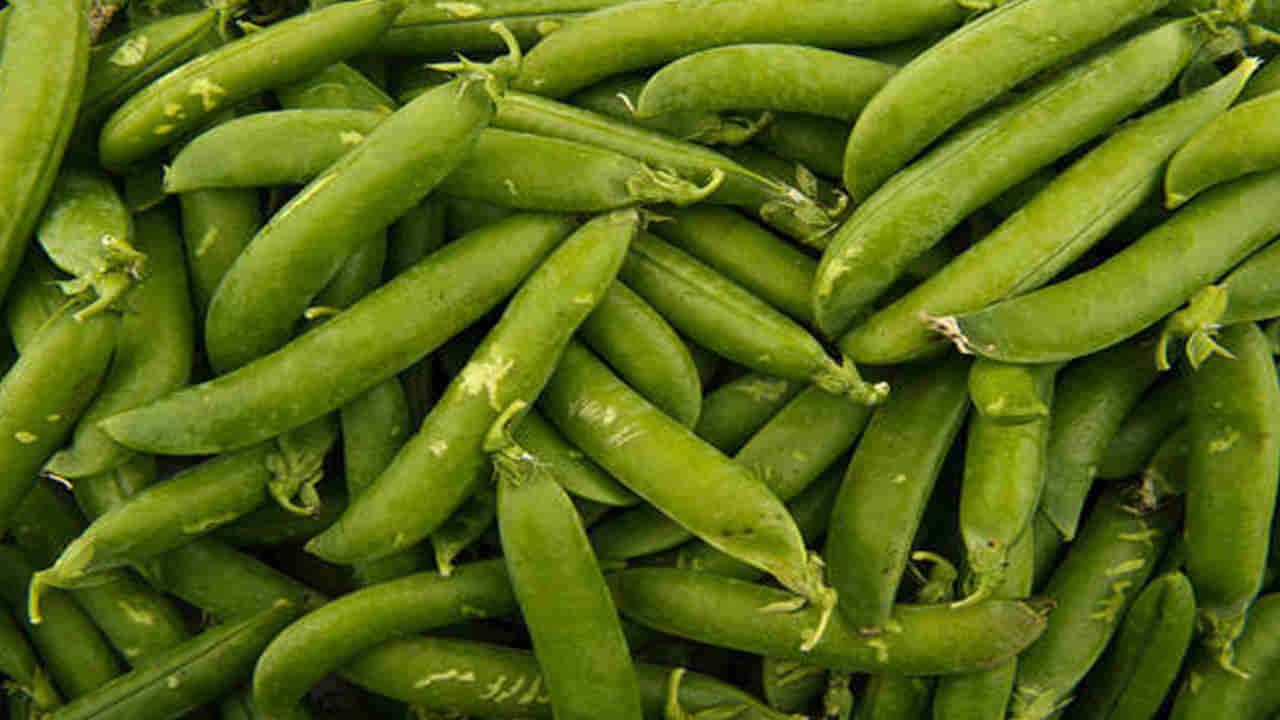 Green Peas Benefits: పచ్చి బఠానీలు తింటే ఆరోగ్యానికి కలిగే ప్రయోజనాలు ఇవే.. తెలిస్తే ఇక వదిలిపెట్టరు..