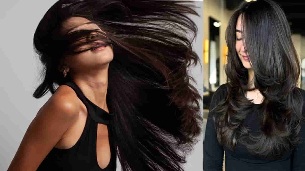 Hair Care: జుట్టు పట్టుకుచ్చులా పెరగాలా? అయితే మీ ఆహారంలో వీటిని తీసుకోండి..