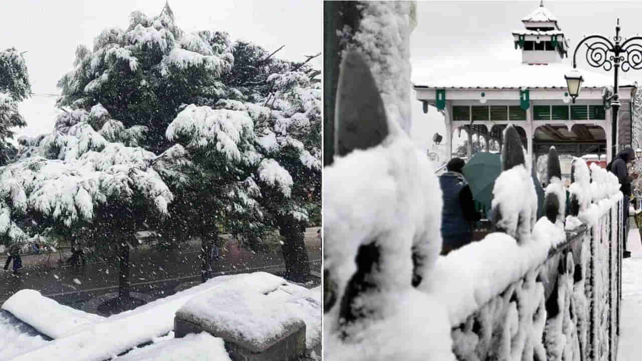 Winter Bliss: మంచు దుప్పటి కప్పుకున్న సిమ్లా.. భారీగా చేరుకున్న పర్యాటకులు.. హర్షం వ్యక్తం చేస్తోన్న వ్యాపారులు..