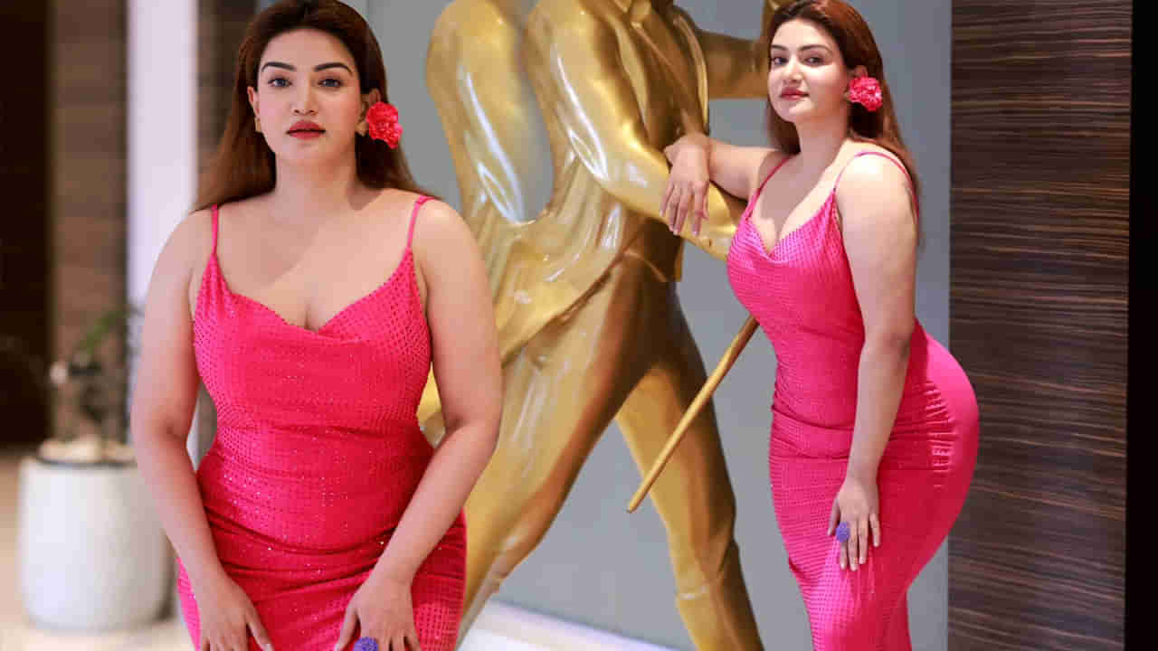 Honey Rose: అబ్బో.. హనీరోజ్ కోరికలు మాములుగా లేవుగా..! అమ్మడికి అలాంటివాడే కావాలంట