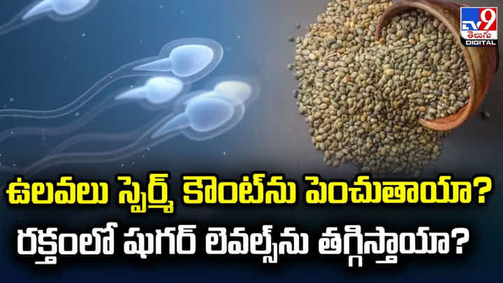 ఉలవలు స్పెర్మ్ కౌంట్ ను పెంచుతాయా ?? రక్తంలో షుగర్ లెవల్స్ ను తగ్గిస్తాయా ?? ఉలవలు స్పెర్మ్ కౌంట్ ను పెంచుతాయా ?? రక్తంలో షుగర్ లెవల్స్ ను తగ్గిస్తాయా ??